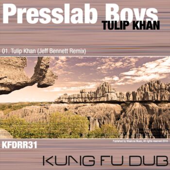 KFDRR31-label-700x700