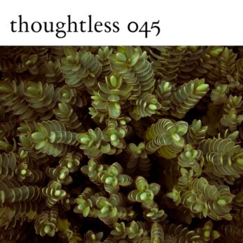 JeffBennett-QuantumPerspective-ThoughtlessMusic