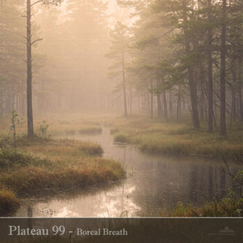 PHLOFI119_web-1